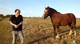2 Guys 1 Horse - YouTube