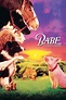 Ver Babe, el cerdito valiente (1995) HD 1080p Latino - Vere Peliculas