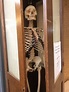 Skeletons in the Closet | Psychology Today