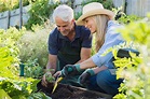 Ready to Become a Master Gardener? Apply for Training Now