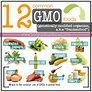 12 common GMO foods