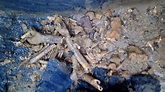 EXCLUSIVE: Who buried bones of six dead people in black plastic bags?