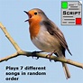 Second Life Marketplace - Bird Sounds Script / Singing Birds / Ambient ...