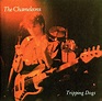 The Chameleons - Tripping Dogs (1990, CD) | Discogs