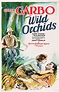 Orquídeas salvajes (1929) - FilmAffinity
