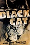 The Case of the Black Cat (1936) — The Movie Database (TMDB)