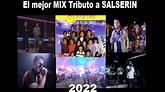 El MEJOR Mix Tributo a SALSERIN 2022 (Servando y Florentino) - YouTube