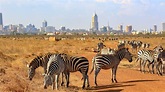 Les incontournables de Nairobi | Tourlane