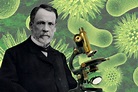Louis Pasteur: biografía y resumen de sus aportes a la ciencia
