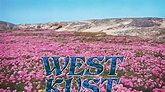 Westkust: Westkust Album Review | Pitchfork