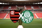 Final da Supercopa do Brasil 2023: jogo do Flamengo x Palmeiras vai ...
