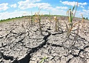 Chile declara emergencia agrícola por sequía en región de Atacama ...
