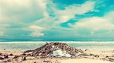 ¿Dónde se ubica la isla de la basura en el Pacífico?