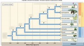 Biology Chapter 30 Evolutionary History of Plants Diagram | Quizlet