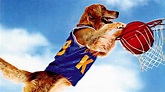 Foto de la película Air Bud: El fichaje de la liga - Foto 10 por un ...