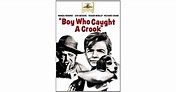 The Boy Who Caught a Crook Movie Review | Common Sense Media