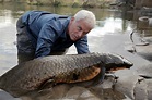 Prehistoric Terror – Episode Photos | River Monsters | Animal Planet