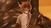 ‎Fantastic Mr. Fox (2009) directed by Wes Anderson • Reviews, film ...