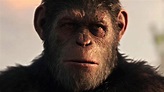 Kingdom Of The Planet Of The Apes Release Date, Cast, Director, Plot ...