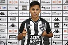 Botafogo presentó al peruano Lecaros como su refuerzo hasta 2021 | El ...