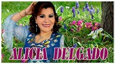 ALICIA DELGADO - MIX EN VIVO RD - YouTube