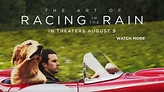 The Art Of Racing In The Rain Movie Wallpapers - Wallpaper Cave