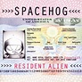 Spacehog - In the Meantime | iHeartRadio