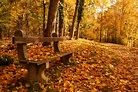 Goldener Oktober Foto & Bild | jahreszeiten, herbst, natur Bilder auf ...
