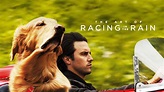 Watch The Art of Racing in the Rain (2019) Streaming Full Movie ...
