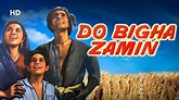 Do Bigha Zamin (HD) | Balraj Sahni | Nirupa Roy | Meena Kumari | Old ...
