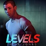 Nick Jonas - Levels | Single cover for "Levels" by Nick Jona… | Jonny ...