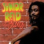 Reggaediscography: JUNIOR REID - DISCOGRAPHY: (Reggae Singer)