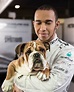 Lewis Hamilton Mercedes AMG with his dog Roscoe | Lewis hamilton ...