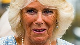 Strange Facts About Camilla Parker Bowles