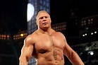 WWE SummerSlam 2014 results: Brock Lesnar wins the title, John Cena ...