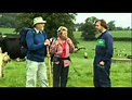 Cross Country Films - Walking through cow fields safely - YouTube