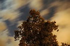 Free photo: Night Wind Blowing - Bspo06, Clouds, Darkness - Free ...