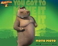 Moto Moto the Hippo from Madagascar Desktop Wallpaper