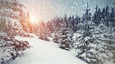 Snowfall Wallpaper (63+ images)