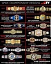 Pin by SAINTS VISION INC. on Pro Wrestling in 2020 | Wwe belts, Wwe ...
