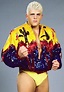 Dustin Rhodes | Dustin rhodes, World championship wrestling, Pro wrestling