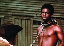 Roots historian Matt Delmont on how the remake’s reception differs from ...
