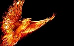 phönix aus der asche tattoo - Google-Suche | Phoenix wallpaper, Eagle ...