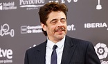 Benicio del Toro, premio Platino de Honor 2023, sobre su prioridad en ...