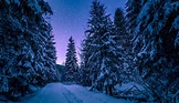 Amazing 4K Winter Wallpapers - Top Free Amazing 4K Winter Backgrounds ...