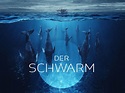 'Der Schwarm': Alle Infos zur ZDF-Serie | Liebenswert Magazin