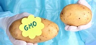 How to Know if You're Buying the New GMO Potato | Natural Society