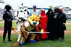 The Royals as Star Wars characters - Royals Review