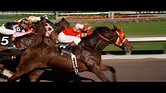 Seabiscuit 2? World’s largest horse registry forced to include cloned ...