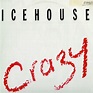 Icehouse - Crazy (1987, Vinyl) | Discogs